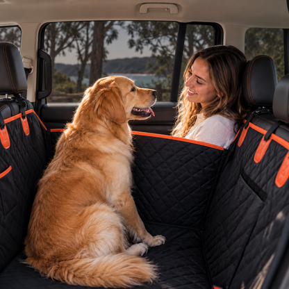 VoyagePaw™ - Dog Seat Cover 55% OFF