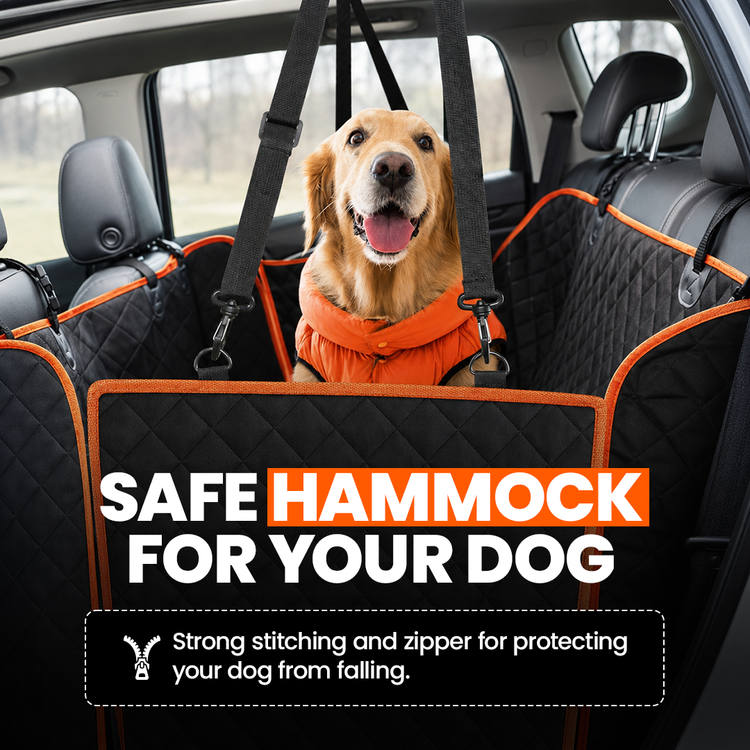 VoyagePaw™ - Complete Dog Travel Protection Kit 50% OFF