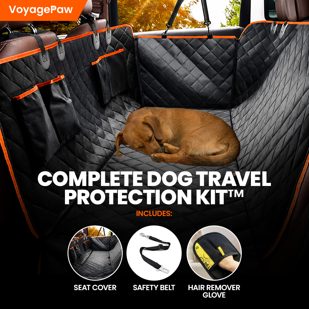 VoyagePaw™ - Complete Dog Travel Protection Kit 50% OFF