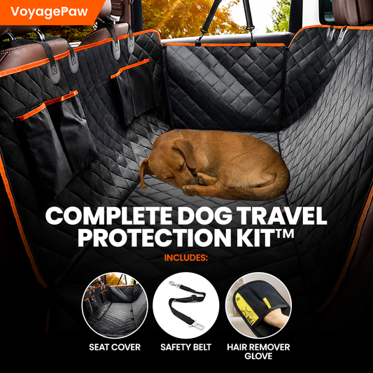 VoyagePaw™ - Complete Dog Travel Protection Kit 50% OFF